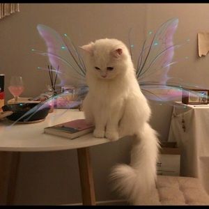 Meet your Posher, Madeline